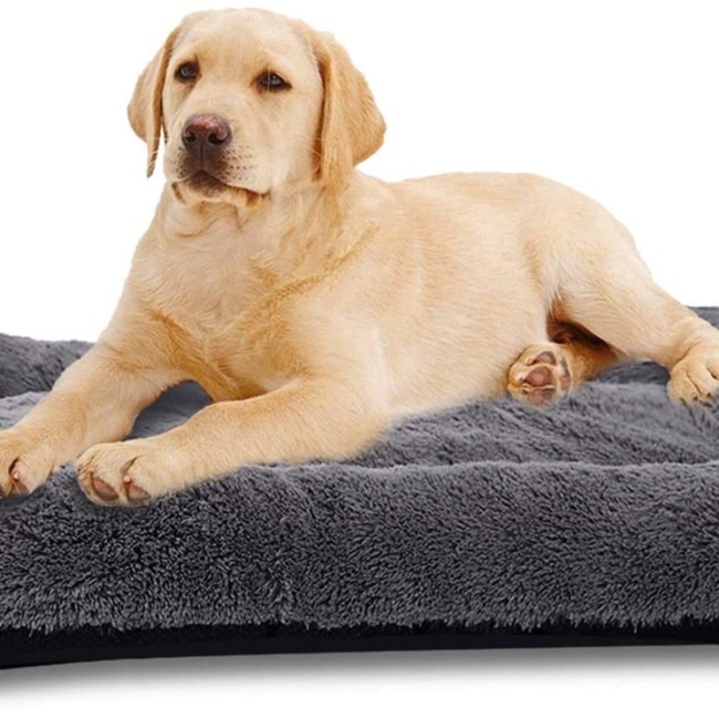 71AOGHf0scL._AC_SL1500_