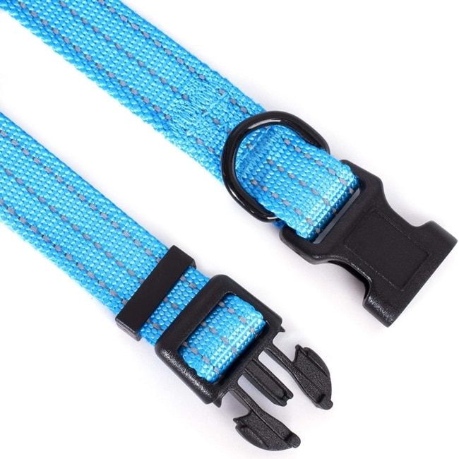 81QX76EtpYL._AC_SL1500_