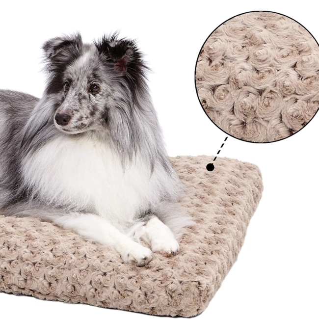 81lLP8Nzs8L._AC_SL1500_