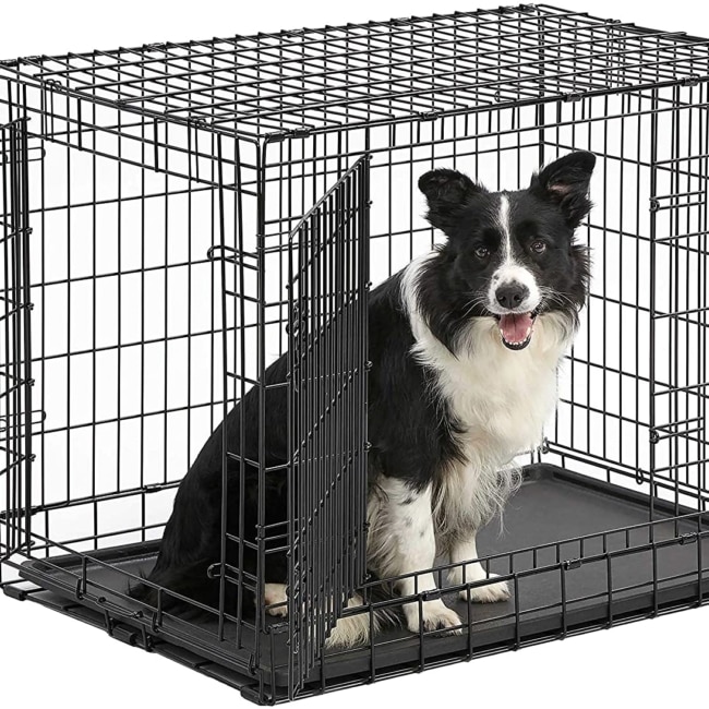 91+o8md-PjL._AC_SL1500_